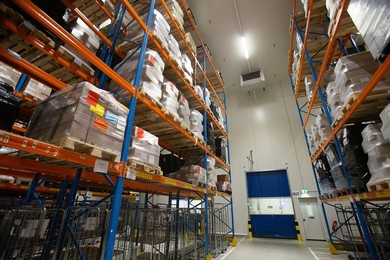 HEALTH VACCINES AND DRUGS LOGISTICS MOVIANTO