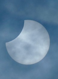 Image 733119594