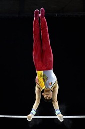 WORLD ARTISTIC GYMNASTICS CHAMPIONSHIPS 2022