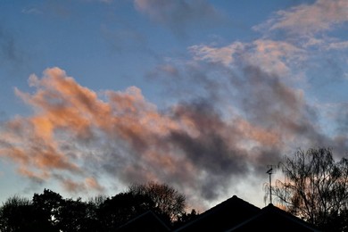 Image 736242785