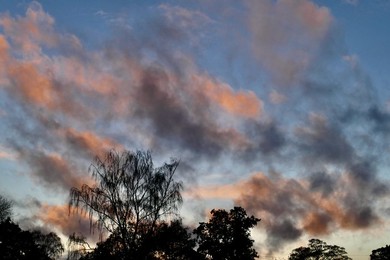 Image 736242811