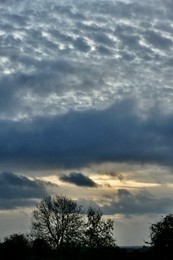 Image 736246301