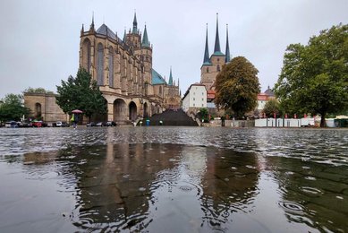 Image 737516951