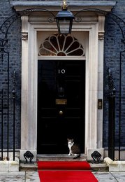 Image 739632645
