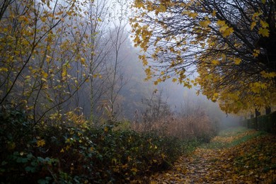 Image 741195899