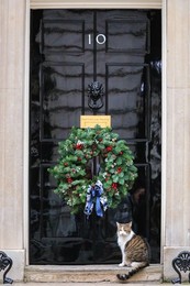 Image 741244279