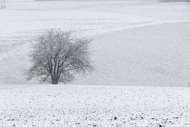 Image 742367819