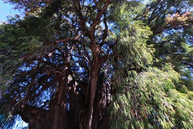 Image 746899677
