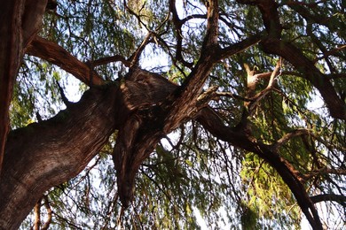 Image 746899690
