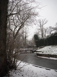 Image 750729462