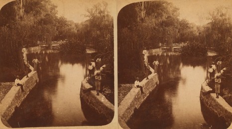 Image 750827323