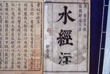 Image 751889306