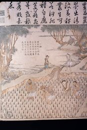 Image 751908295