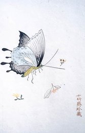 Image 751909772
