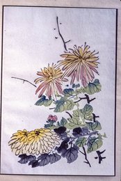 Image 751910012