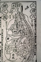 Image 751910276