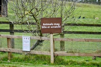 Image 752447517