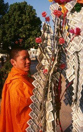 Image 753902739