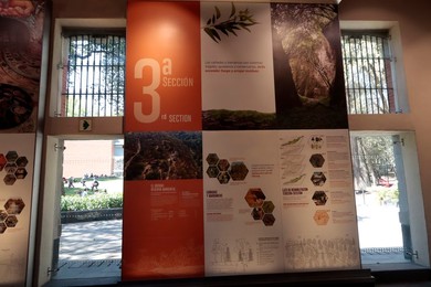 Image 754336726