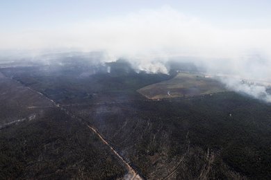 Image 754643264