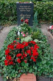 Image 767187168