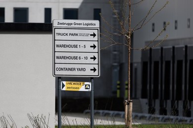 Image 769419808