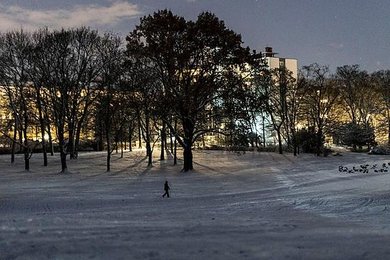 Image 772151852