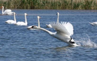 Image 772639149