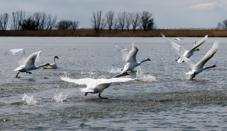 Image 772640655