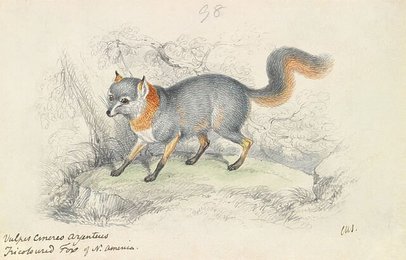 Image 776549245