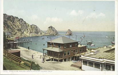 Image 776726182