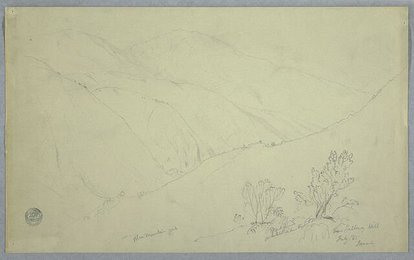Image 776756762