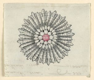 Image 776820169