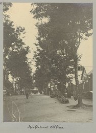 Image 777342026