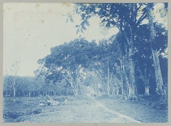 Image 777378916