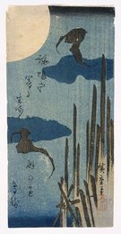 Image 777428395