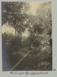 Image 777443840