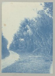 Image 777451447