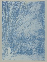 Image 777465112