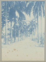 Image 777465490