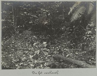 Image 777521399