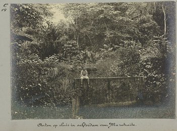 Image 777530822
