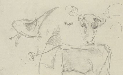 Image 777566745
