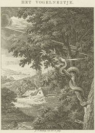 Image 777605687