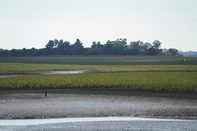 Image 778491803