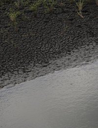 Image 778491816