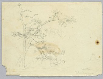 Image 778577594