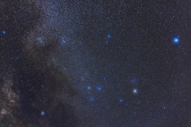 Image 780505782