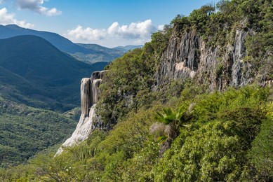 Image 780515492