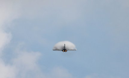 Image 784219481